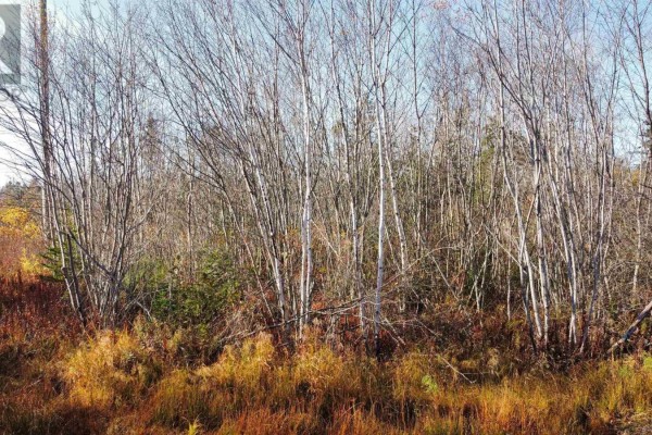 Lot No 3 Highway, Lydgate, NS B0T1L0 Photo 5