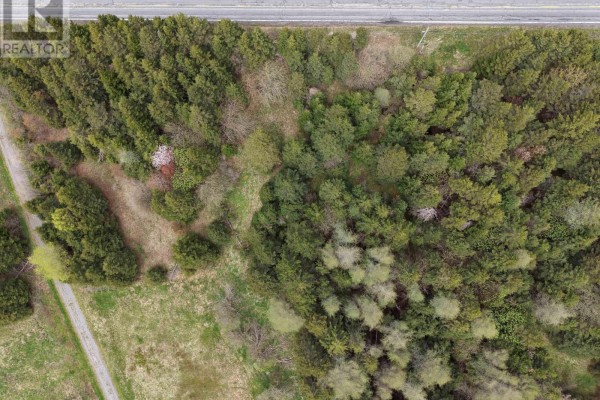 Looking down a two-lane paved highway bordered by dense evergreen trees and utility poles under a cloudy sky. - Lot No. 4 Highway, River Bourgeois