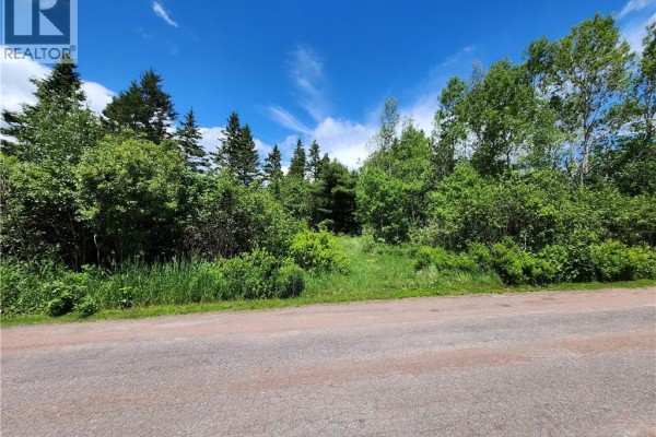 Lot Old Albert Mines, Edgetts Landing, NB E4H1S1 Photo 5