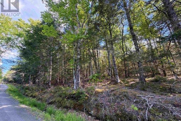 Lot Old Coach Road, Labelle, NS B0T1E0 Photo 3