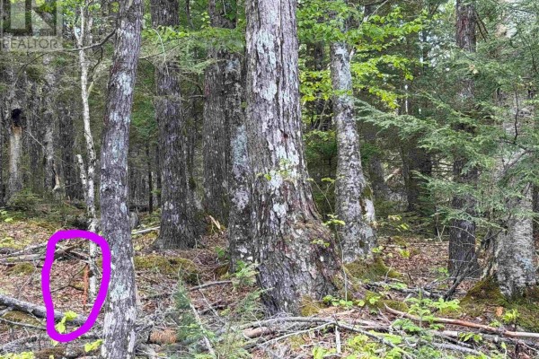 Lot Old Coach Road, Labelle, NS B0T1E0 Photo 4