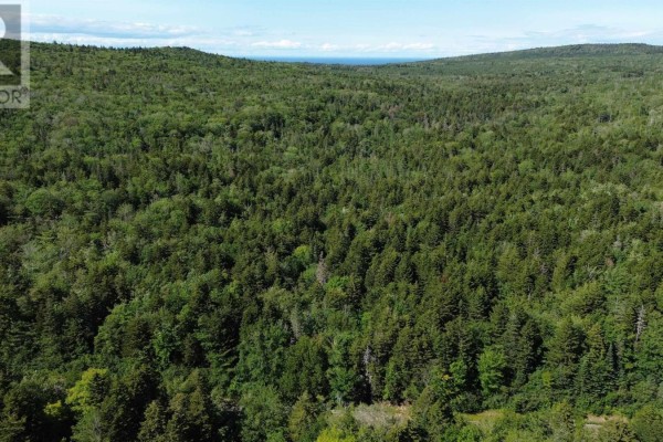 Lot Old Mountain Road, Rossway, NS B0V1A0 Photo 3