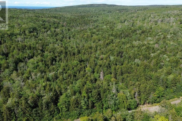 Lot Old Mountain Road, Rossway, NS B0V1A0 Photo 4