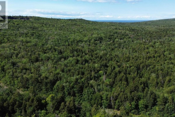 Lot Old Mountain Road, Rossway, NS B0V1A0 Photo 5
