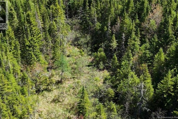 Lot Otter Lake Road, Baxters Corner, NB E2S2N8 Photo 3