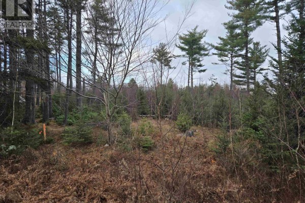Lot P-1 Baker Road, Mount Pleasant, NS B0R1G0 Photo 4