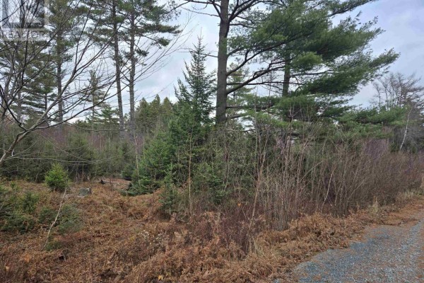 Lot P-1 Baker Road, Mount Pleasant, NS B0R1G0 Photo 5
