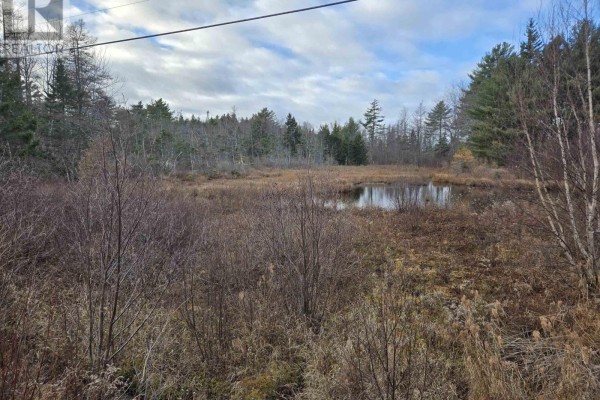 Lot P-2 Mount Pleasant Road, Mount Pleasant, NS B0R1G0 Photo 4