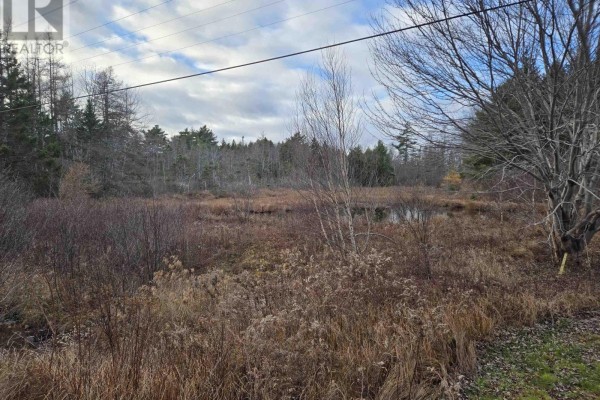 Lot P-2 Mount Pleasant Road, Mount Pleasant, NS B0R1G0 Photo 5