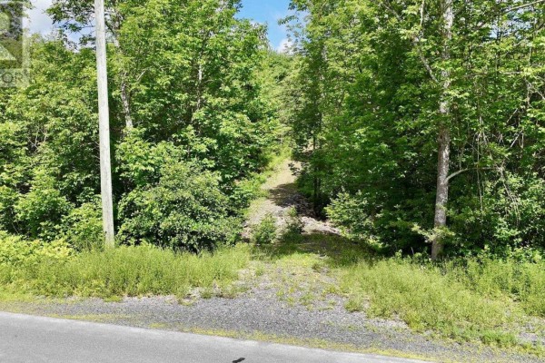 Lot P1 Mines Road, Upper Falmouth, NS B0P1P0 Photo 4