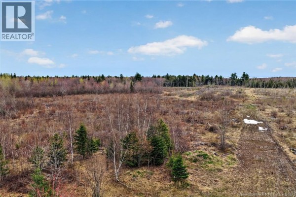 Lot Perry Road, Saint Edouard De Kent, NB, photo 2