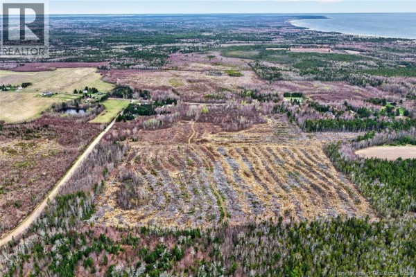 Lot Perry Road, Saint Edouard De Kent, NB, photo 3