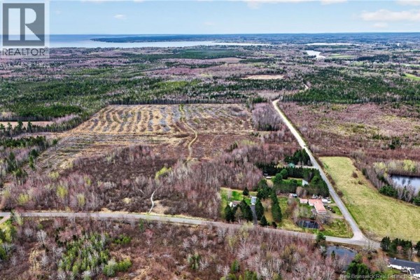 Lot Perry Road, Saint Edouard De Kent, NB E4S4T2 Photo 4