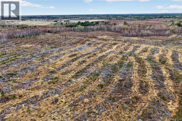 Lot Perry Road, Saint Edouard De Kent, NB E4S4T2 Photo 5