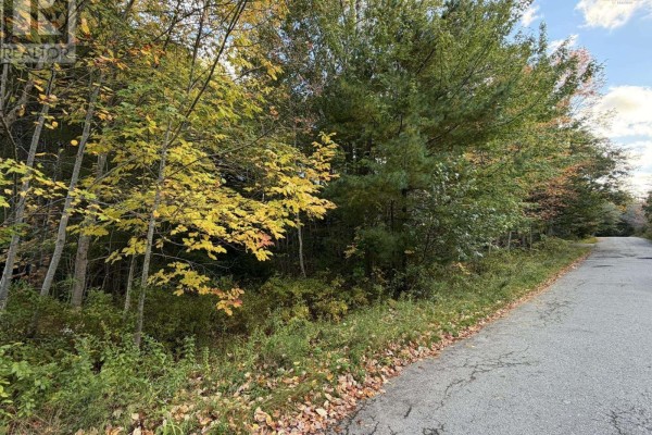 Lot Pid#70072707 School Street, Milton, NS B0T1P0 Photo 2