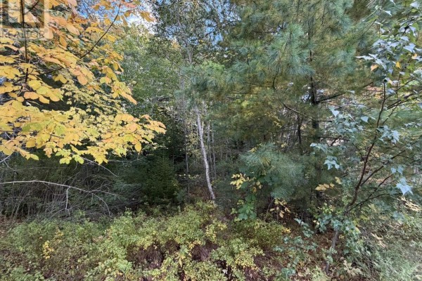 Lot Pid#70072707 School Street, Milton, NS B0T1P0 Photo 3