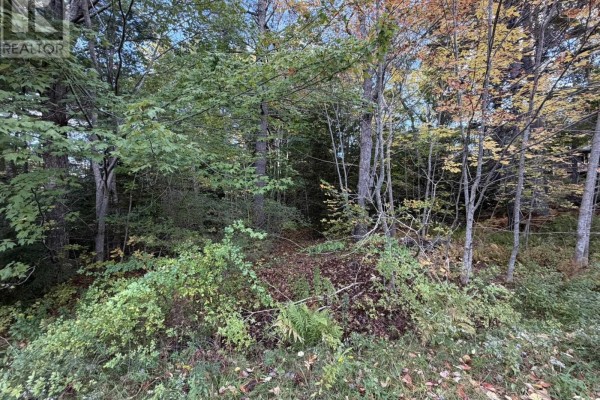 Lot Pid#70072707 School Street, Milton, NS B0T1P0 Photo 4