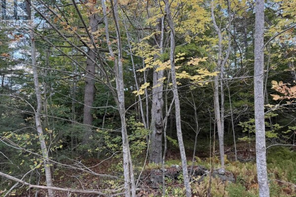 Lot Pid#70072707 School Street, Milton, NS B0T1P0 Photo 5