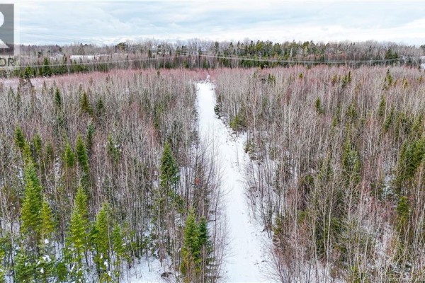 Lot Pine Glen Road, Riverview, NB E1J1R8 Photo 4