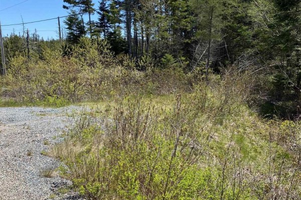 Lot Port Bickerton Road, Port Bickerton, NS B0J1A0 Photo 2