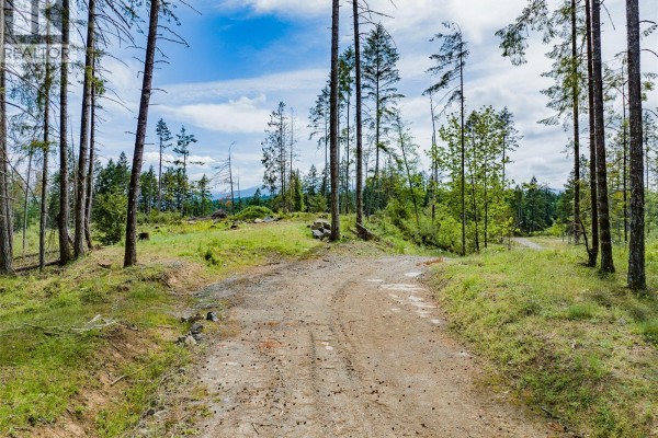 Aerial view of a gravel road cutting through a partially cleared lot with tall evergreen trees. - Lot Quennell Rd, Nanaimo