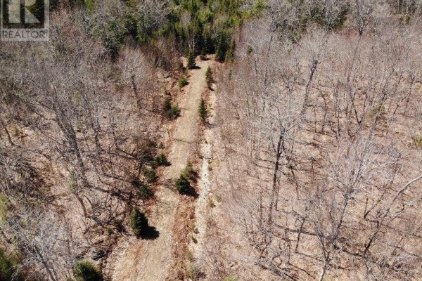 Lot R-10 Kill Dog Cove Road, Parkdale, NS B0R1A0 Photo 2