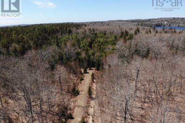 Aerial view looking down a cleared path through a mixed forest of bare and evergreen trees. - Lot R-11 Kill Dog Cove Road, Parkdale