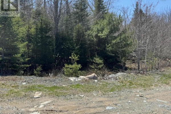 Lot R-9 Kill Dog Cove Road, Parkdale, NS B0R1A0 Photo 4