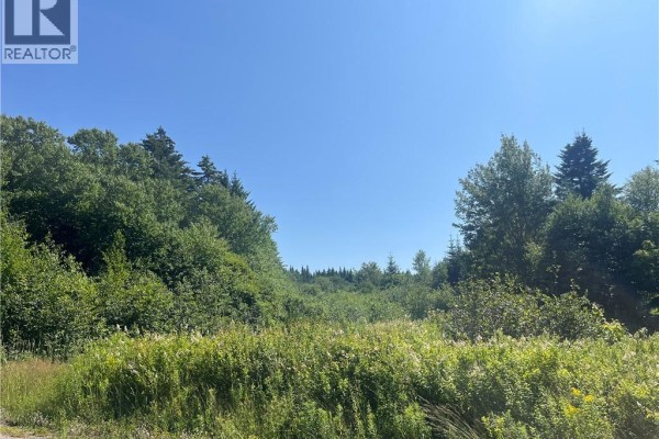 Lot Rabbit Road, Midway, NB E4H3R6 Photo 2