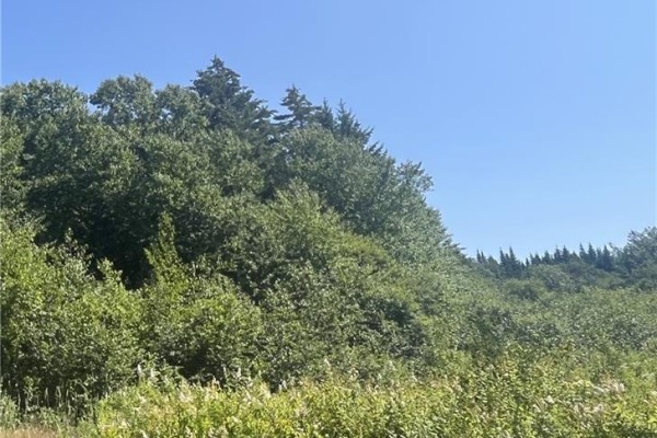 Lot Rabbit Road, Midway, NB E4H3R6 Photo 3