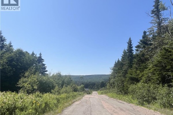 Lot Rabbit Road, Midway, NB E4H3R6 Photo 4