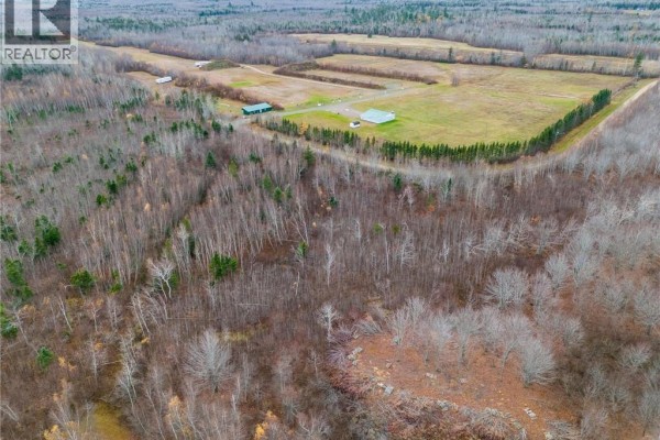 Lot Renauds Mills Road, Saint Antoine, NB E4V2X7 Photo 2