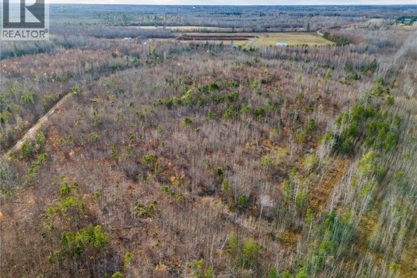 Lot Renauds Mills Road, Saint Antoine, NB E4V2X7 Photo 3
