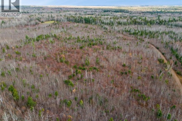 Lot Renauds Mills Road, Saint Antoine, NB E4V2X7 Photo 4