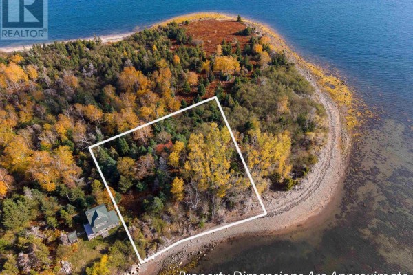 Aerial view showing a wooded section of the property bordered by a white square, with a house below. - Lot Rous Island, Indian Point