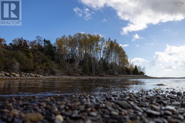 Low-angle view of a rocky shoreline with calm water and a treeline in the background under a blue sky. - Lot Rous Island, Indian Point