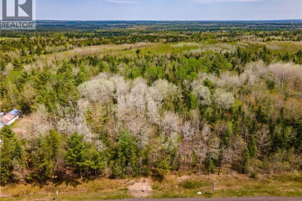 Lot Route 10, Coles Island, NB E4C2P4 Photo 3