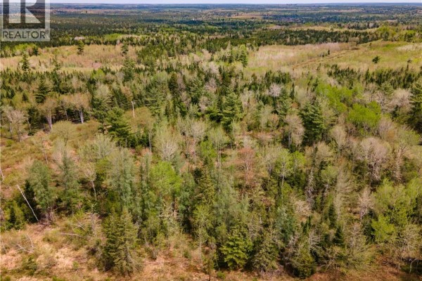 Lot Route 10, Coles Island, NB E4C2P4 Photo 4