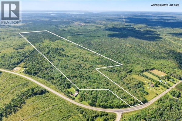 Lot Route 10, Upper Salmon Creek, NB O0O0O0 Photo 4