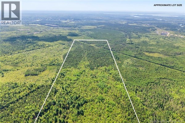 Lot Route 10, Upper Salmon Creek, NB O0O0O0 Photo 5