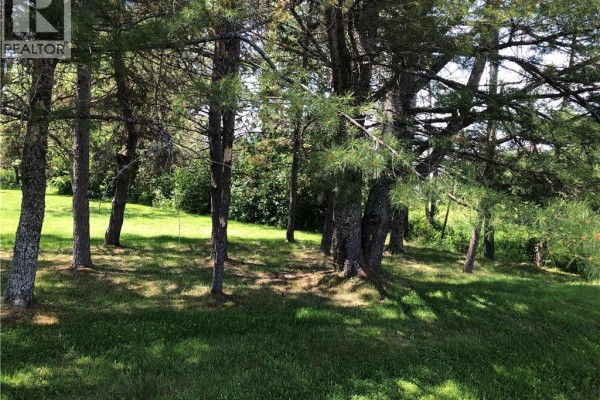 Lot Route 112, Colpitts Settlement, NB E4J2Z1 Photo 4