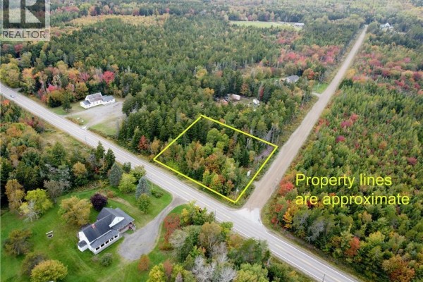 Overhead drone shot of a forested property lot outlined in yellow, situated at a road intersection. - Lot Route 114, Lower Cape