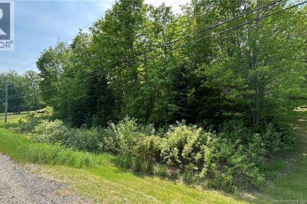 Lot Route 135, Trudel, NB E8R1N1 Photo 2