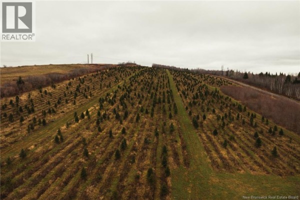 Lot Route 144 Road, Siegas, NB E7E1T8 Photo 3