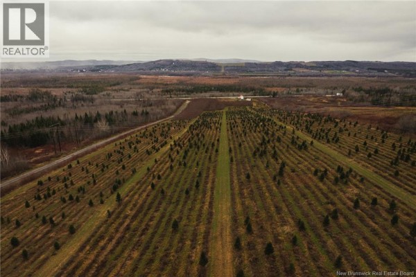 Lot Route 144 Road, Siegas, NB E7E1T8 Photo 4