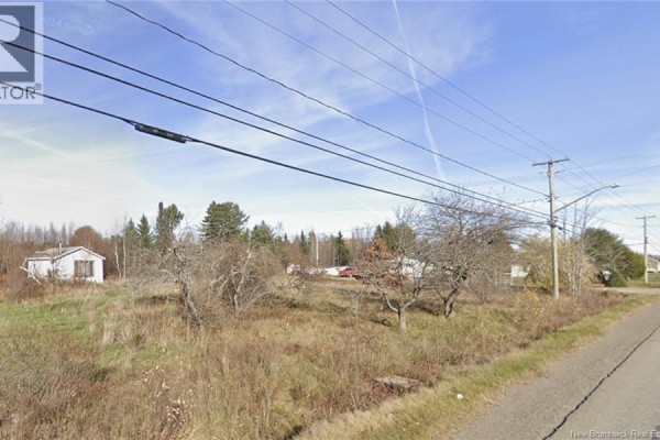 Overgrown lot with bare trees, a small white house, and utility lines against a blue sky. - Lot Route 370 Nord, Leech