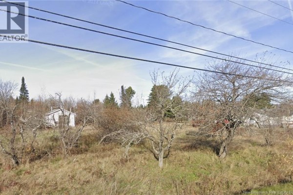 View of a grassy lot with several bare trees and a small white building on the left. - Lot Route 370 Nord, Leech