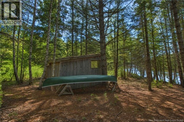 A small wooden shed with a single window sits amongst trees, with a green canoe on stands in front. - Lot Route 470, West Branch