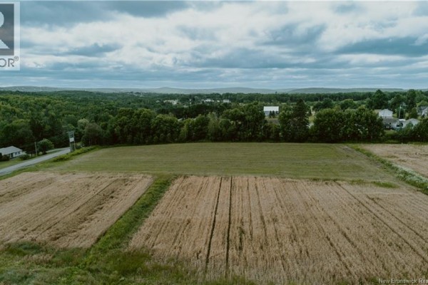 Aerial view of field divided into mown and unharvested sections, with treeline and houses. - Lot Route 550, Hartford