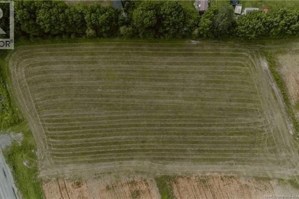 Direct overhead view of a large, rectangular mown field with textured rows. - Lot Route 550, Hartford